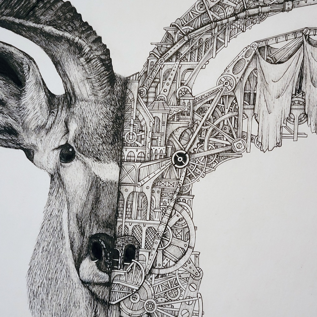 ARDIF - Antilope - 2020 - 1