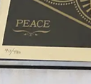 Peace And Justice Woman
