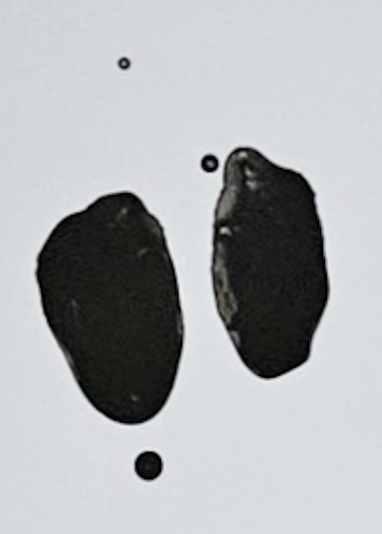 Traces