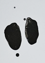 Traces