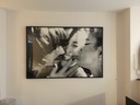 Untitled (Série Omahyra & Boyd)