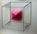 Cube