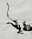 GDP Rat