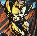 La Cage et le Noir Charbon