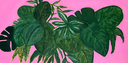« Jungle Gum »