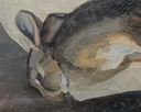 Composition au lièvre