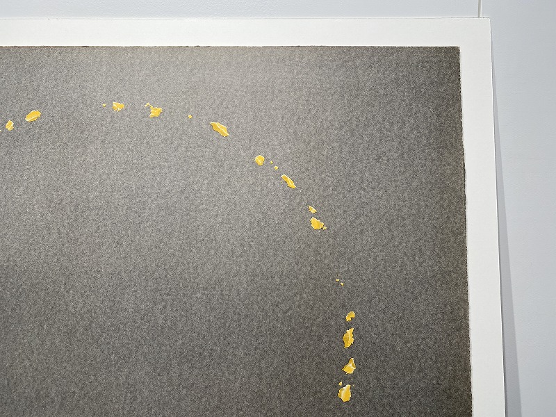 Cheese Circle, from the Various Cheeses series