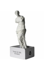 Eroded Venus de Milo