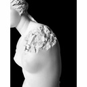 Eroded Venus de Milo