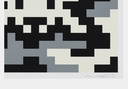 CAMO S-3C-M2