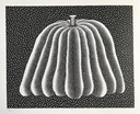 Pumpkin (black and white)