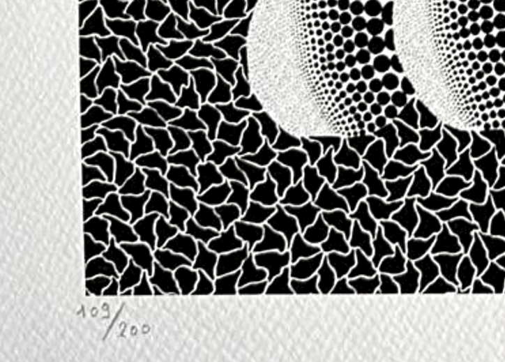 Pumpkin (black and white)