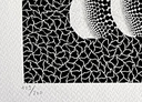 Pumpkin (black and white)