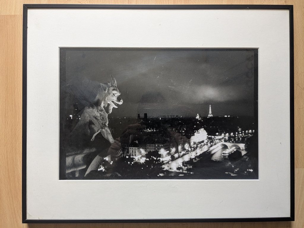 Chimère de Notre Dame