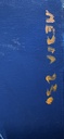 photo3.jpg