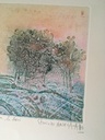 Aube sur le bois