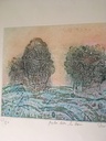 Aube sur le bois