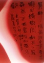 Zhengjie Feng - Chinese portrait K series n°1 - 2007 - 4