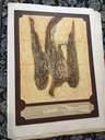 Untitled (game & gun)