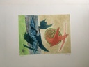Untitled (birds)