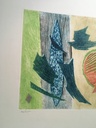 Untitled (birds)