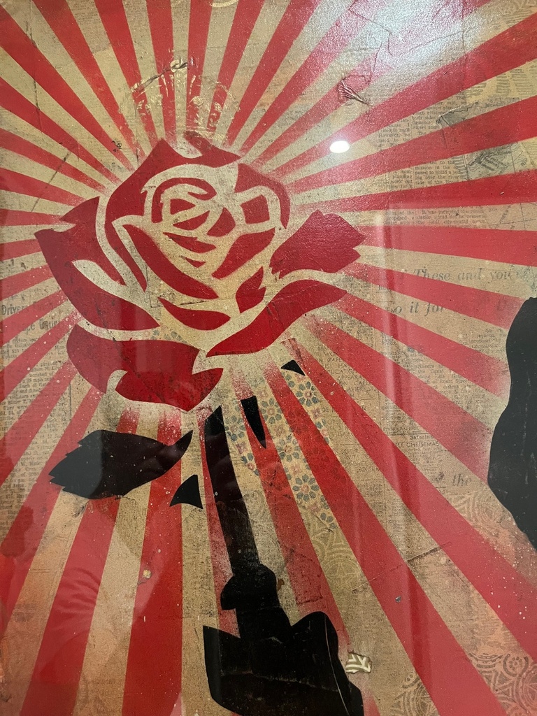 Rose Soldier