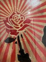 Rose Soldier