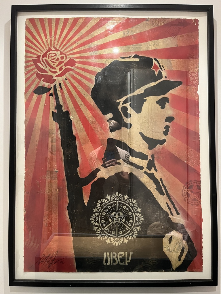 Rose Soldier