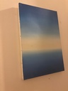 Michigan Lake V2