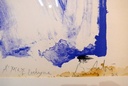 Paysage Loire