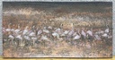 Paysage - Flamants roses
