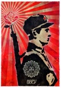 Rose Soldier