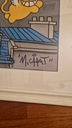 Chat Volant
