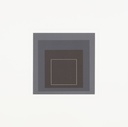 White Line Square