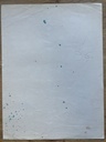 453834562_1562804987949037_8976311824103713879_n.jpeg