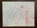 IMG_5651.jpeg