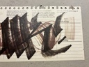 IMG_4676.jpeg
