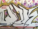 IMG_7732.jpeg