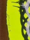 Spiro_MonoP_8/21_10