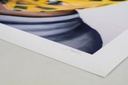detail14_27224.jpg