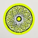 Spiro_MonoP_8/21_10