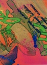 detail2_27175.jpg