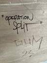 detail19_26902.jpg