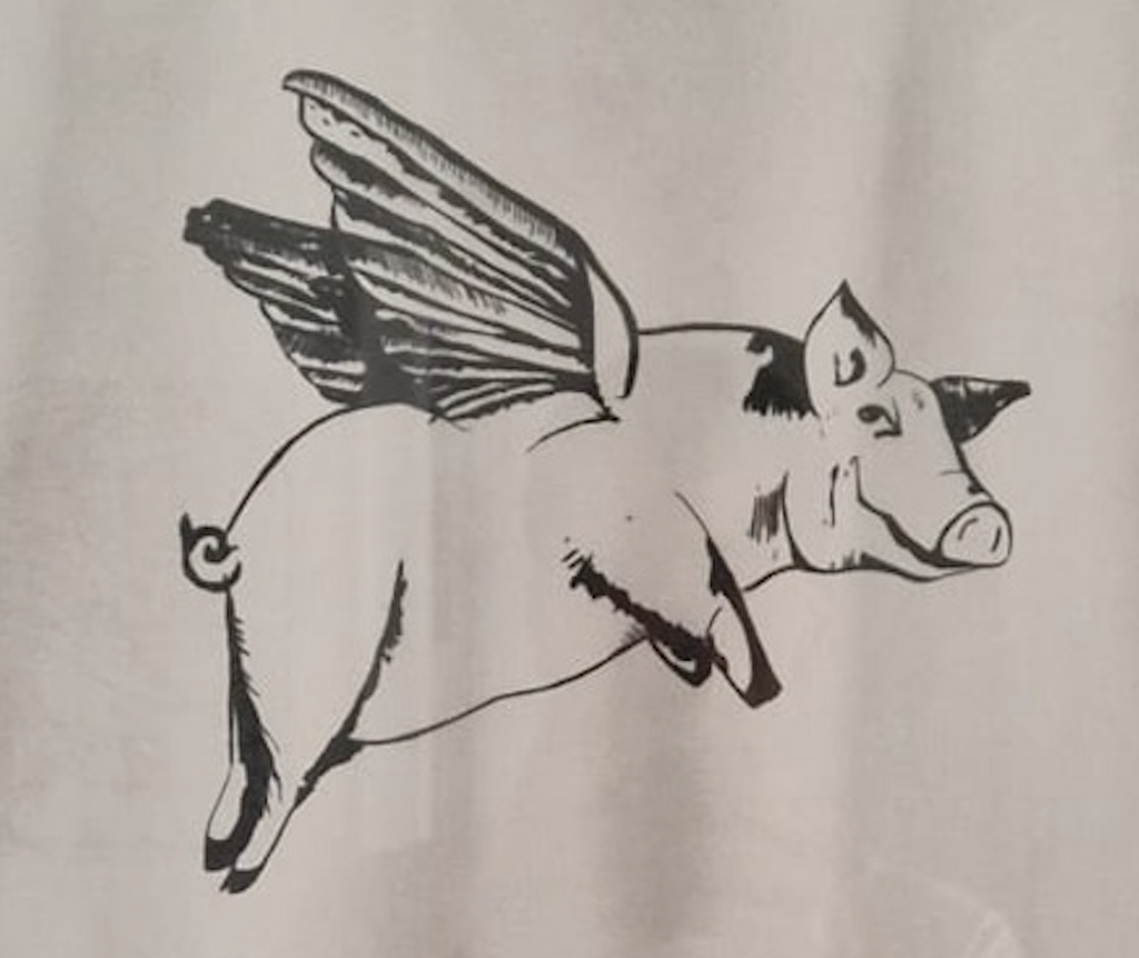 Take a number 1 - Tshirt with flying pig