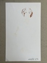 detail_05.jpg