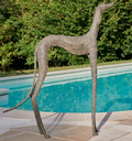 Lévrier « Zeus »