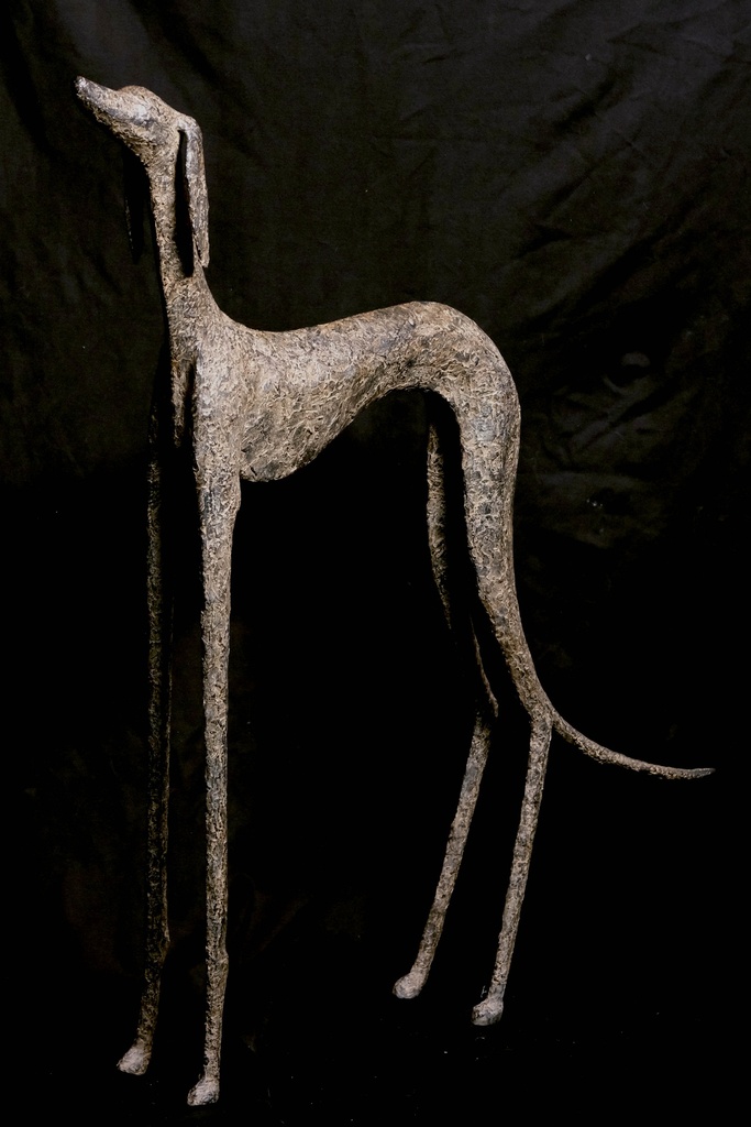 Lévrier « Zeus »