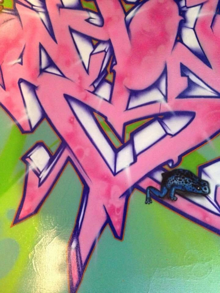 Detail 06.webp
