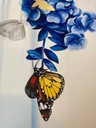 detail_06.jpg