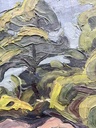 IMG_6971.jpeg